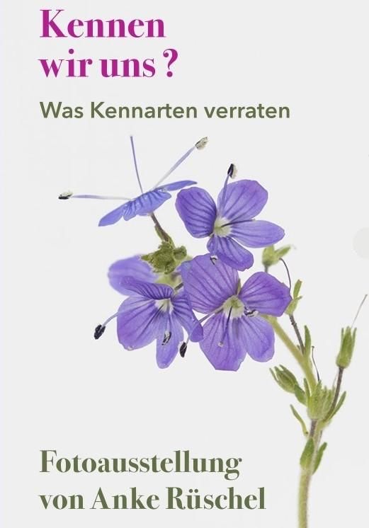 NaturZeit; „Kennen wir uns?“ – OpenAir Sonderausstellung ab Mi. 01.04.2026, 244 Termine | Bild 1