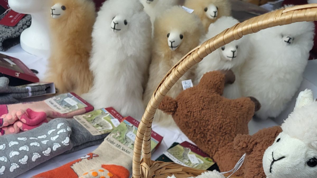 Suppen- und Kreativmarkt mit verkaufsoffenem Sonntag So. 06.12.2026 | Bild 1