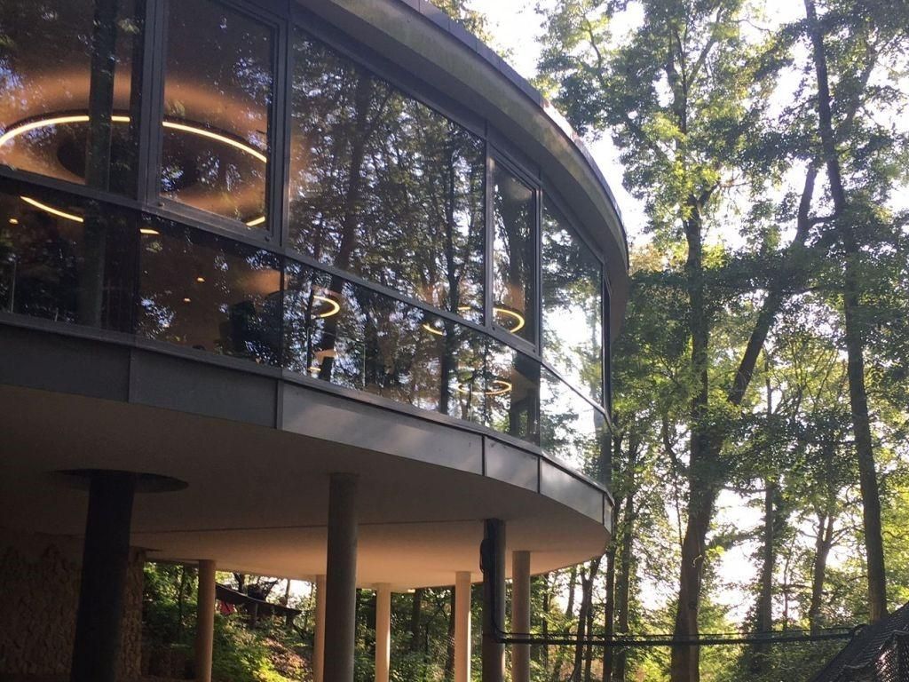 Ferienprogramm im Bärenpark Worbis | Wolfszeit - die Sprache der Wölfe Do. 15.10.2026 | Bild 1