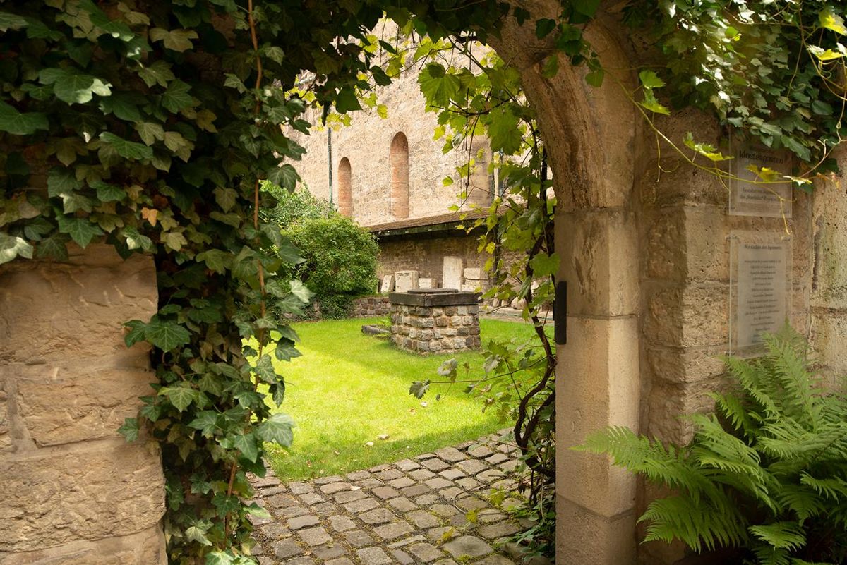 Literarische Gartenerlebnisse – Auf den Spuren von Kräutern, Blumen und Geschichten Di. 08.09.2026 | Bild 1