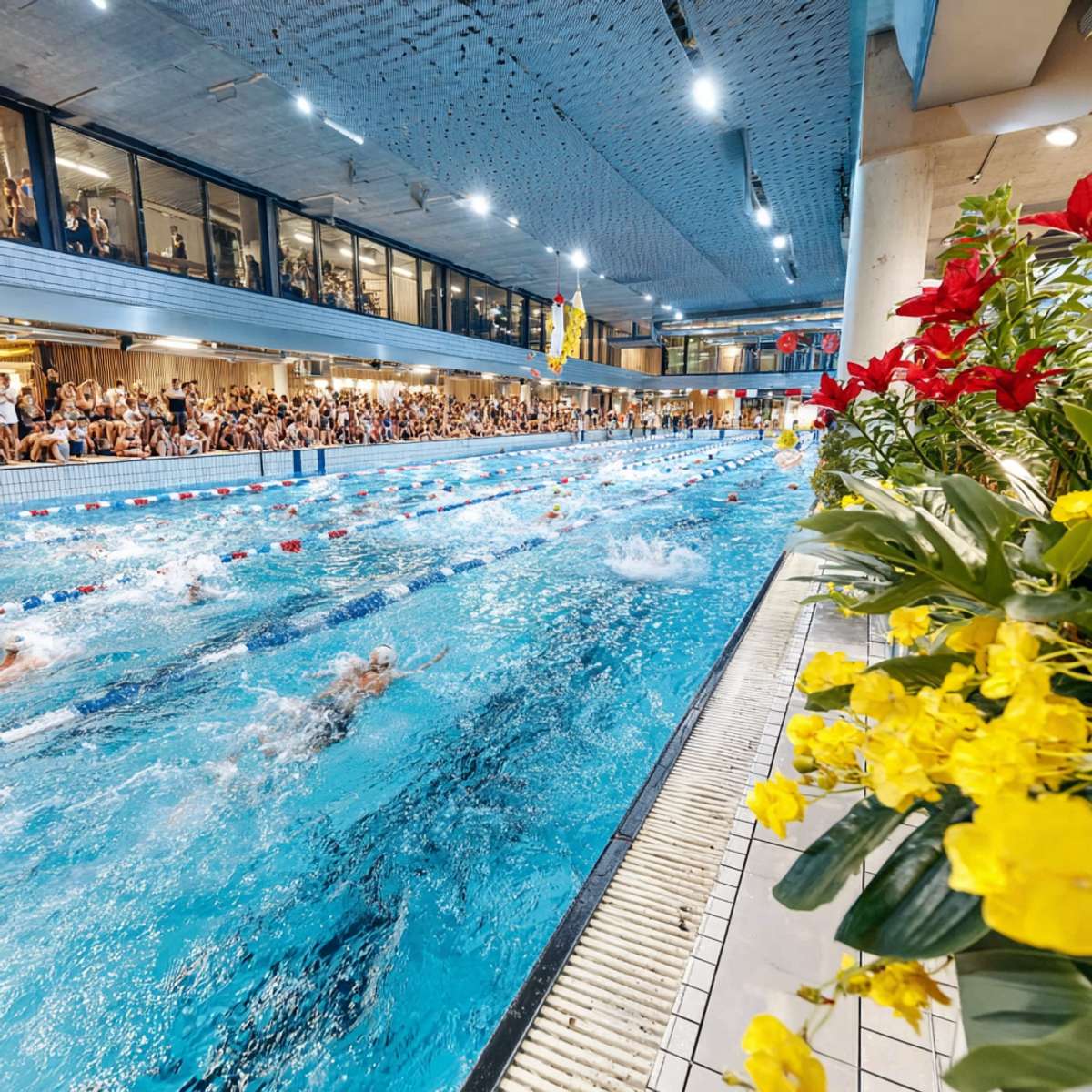 Aloha Hawaii Erlebnisabend Erfurt – Ironman Hawaii Live & Testevent Sa. 10.10.2026 | Bild 4