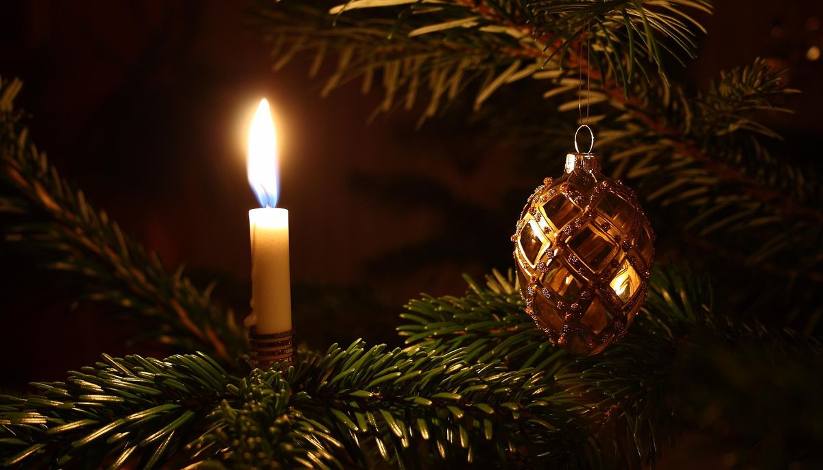 Zwischen Tradition und Nachhaltigkeit – Die Geschichte des Weihnachtsbaums Do. 10.12.2026 | Bild 1