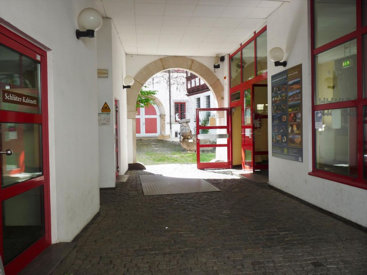 Abendvortrag: „Hutelandschaft Rodachaue – eine Erfolgsgeschichte ...“ Vorschaubild