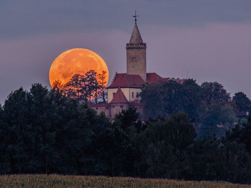 Gruselführungen auf der Leuchtenburg Fr. 16.10.2026 - Sa. 17.10.2026 | Bild 1