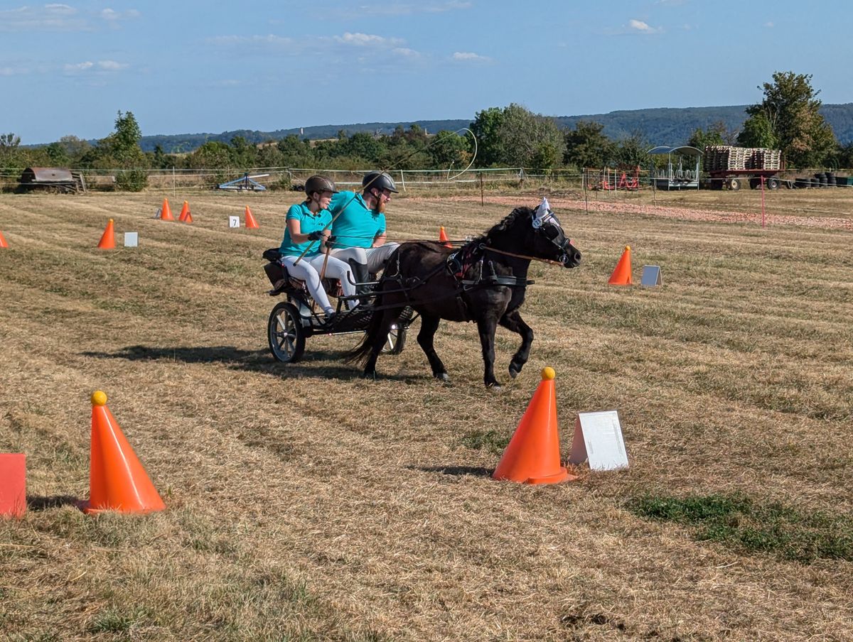 Reitturnier des RSV 
