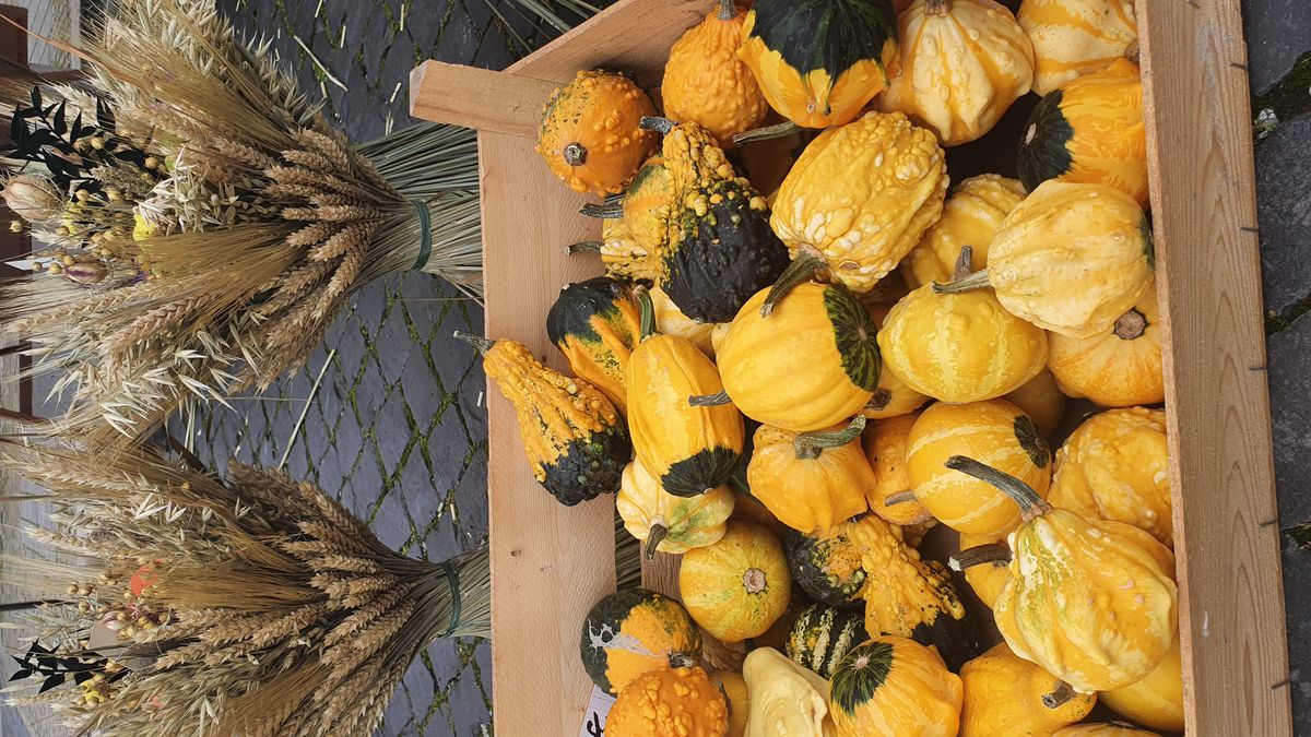Herbstmarkt Sa. 03.10.2026 | Bild 1