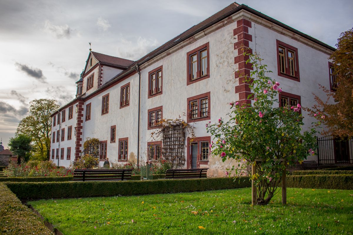 Muse im Museum Vorschaubild