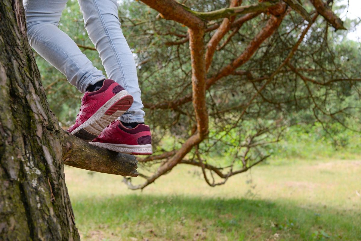 *AUSGEBUCHT* Sommerwaldtage für Kinder von 10 bis 12 Jahre ab Mo. 03.08.2026, 5 Termine | Bild 1