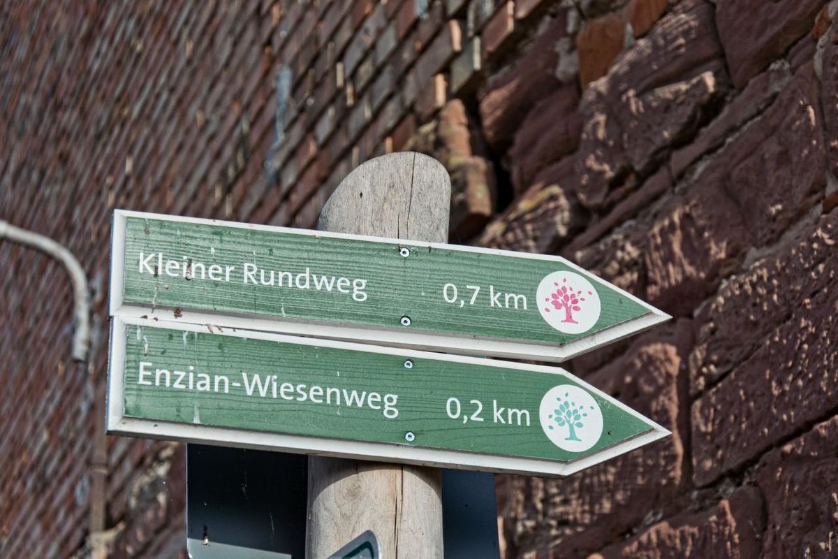 Wanderung - Auf Erkundungstour in die Hohe Schrecke Sa. 05.09.2026 | Bild 1