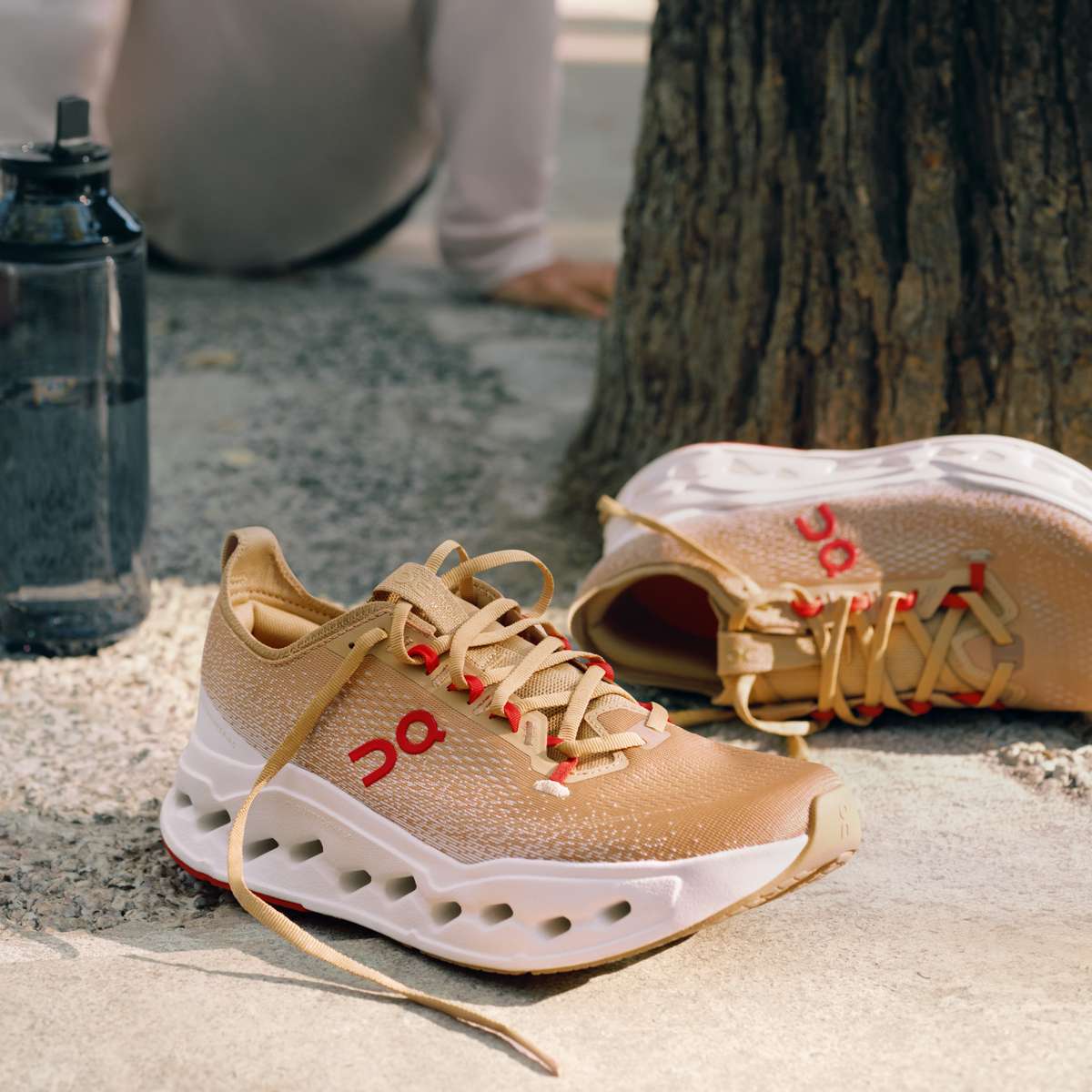 Bachstelze Calling am 3.Mai 2027 Mo. 03.05.2027 | Bild 2